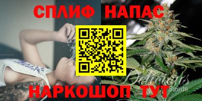 наркотики Будённовск