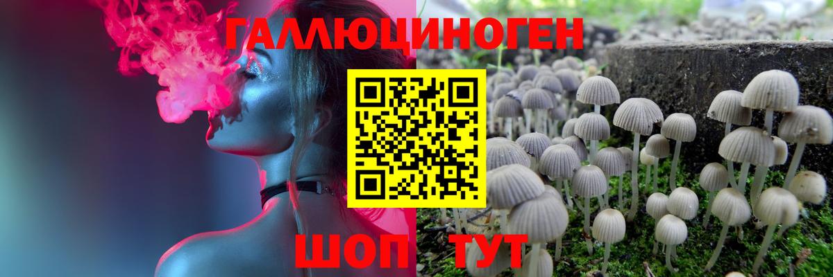Псилоцибиновые грибы MAGIC MUSHROOMS  Вход с VPN  наркота  Полевской 